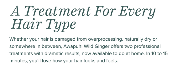 A Treatment For Every Hair Type