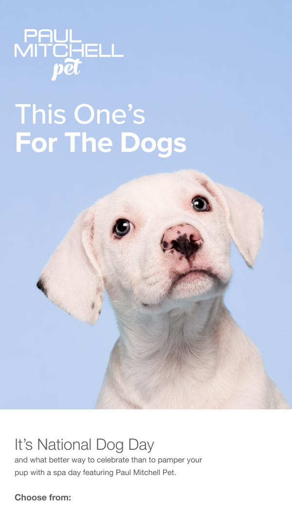 It's national dog day and what better way to celebrate than to pamper your pup with a spa day featuring Paul Mitchell Pet.