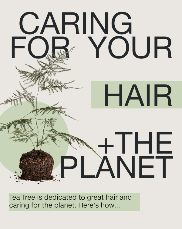 Shop the Tea Tree Collection