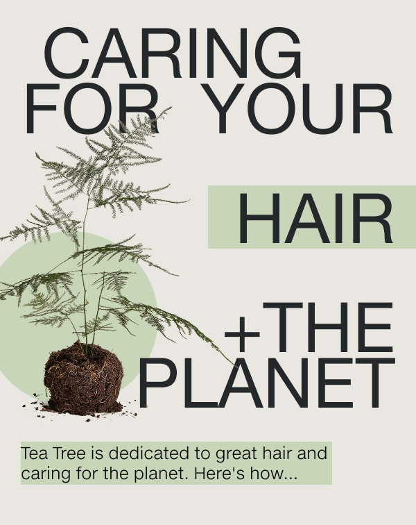Shop the Tea Tree Collection