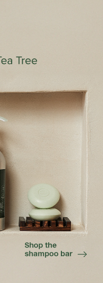 Shop the shampoo bar 