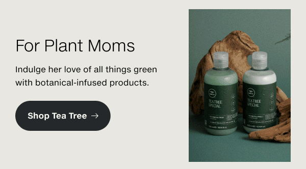 Shop Tea Tree.