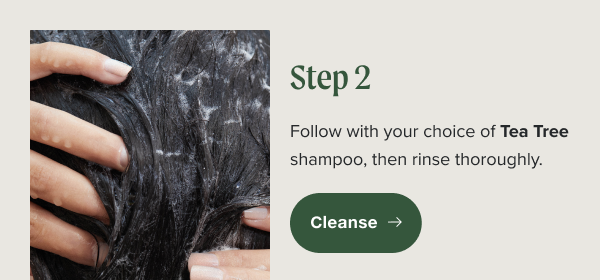 Step 2. Follow with your choice of Tea Tree shampoo, then rinse thoroughly.