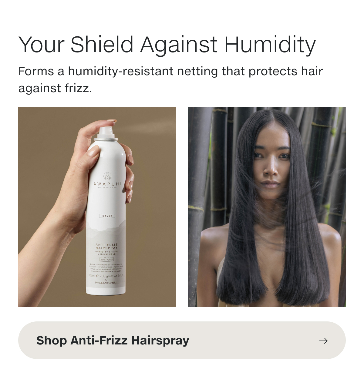 Shop Anti-Frizz Hairspray.
