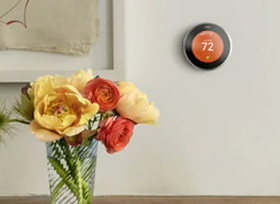 83% Off&nbsp; Arlo Puppy Baby Monitoring Camera