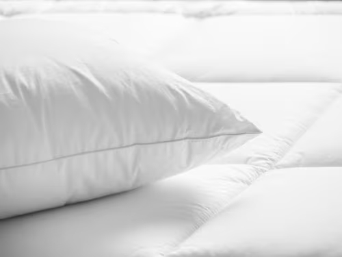 Pillows & Bedding