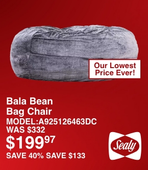 Bala Bean Bag Chair