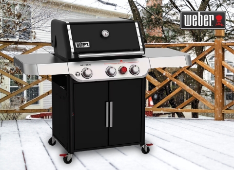Up to $100 Off select Weber Grills plus Free Delivery & Assembly