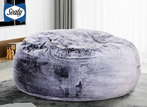 Bean Bag Chair