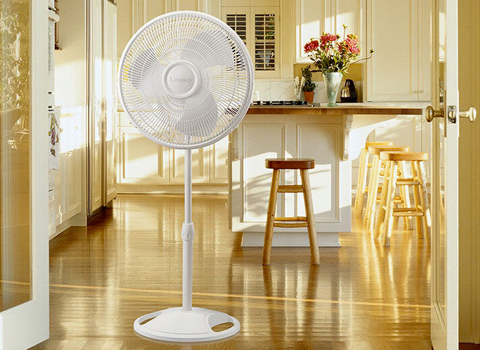 Fans Cool comfort starts here!