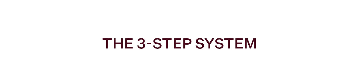 Inside the 3-step System