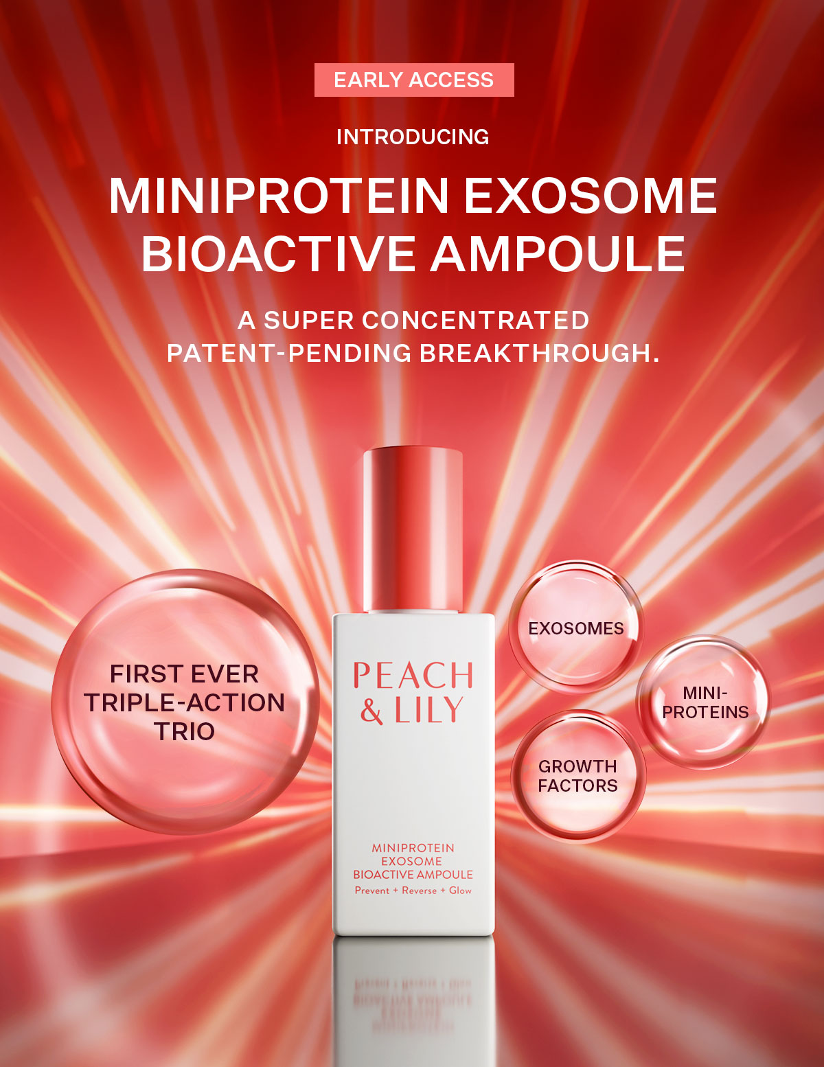 Introducing our MiniProtein Exosome Bioative Ampoule