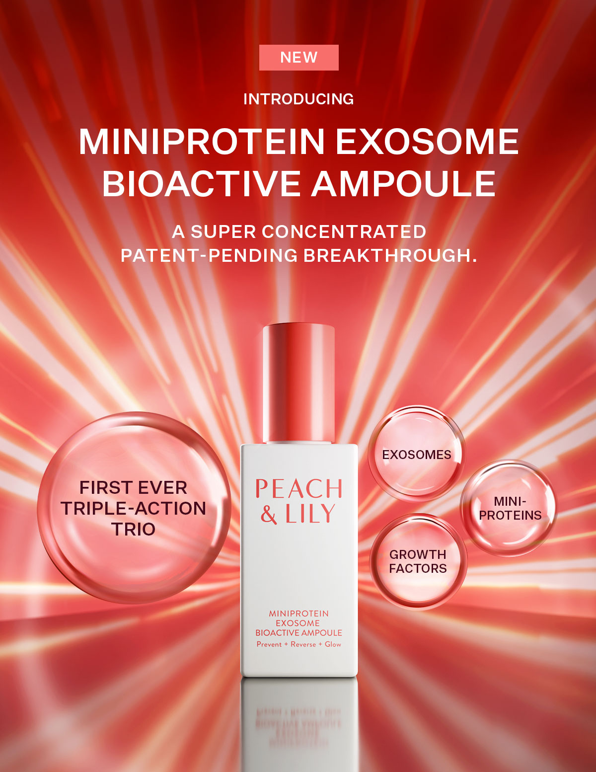 Introducing our MiniProtein Exosome Bioative Ampoule