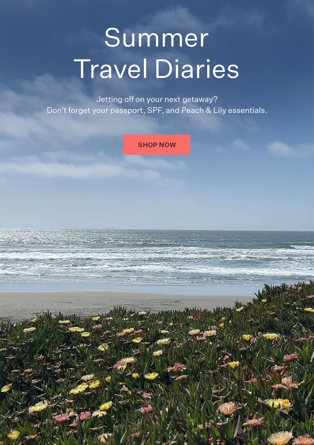 Summer Travel Diaries