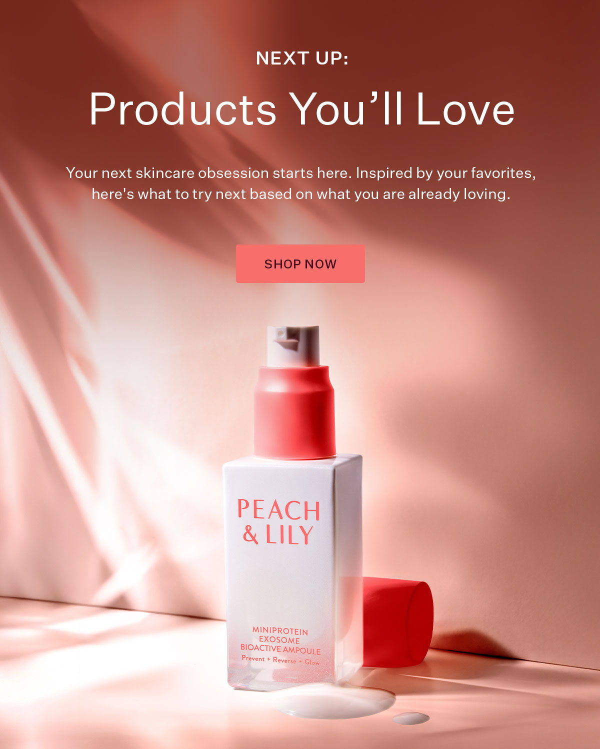 Next Up: Products You'll Love