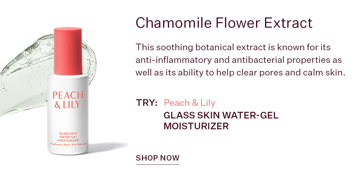Glass Skin Water-Gel Moisturizer