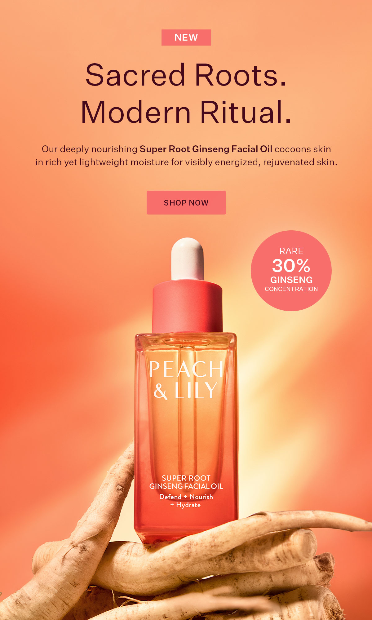 New: Super Root Ginseng Facial Oil