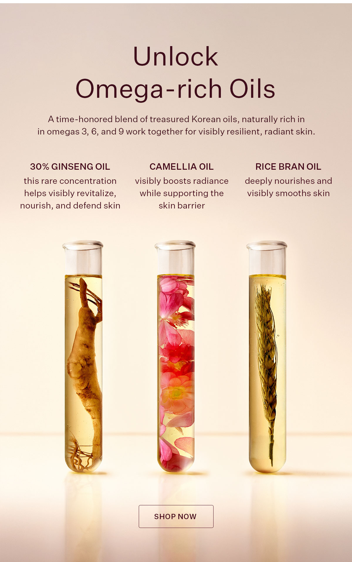 Unlock Omega-rich Oils