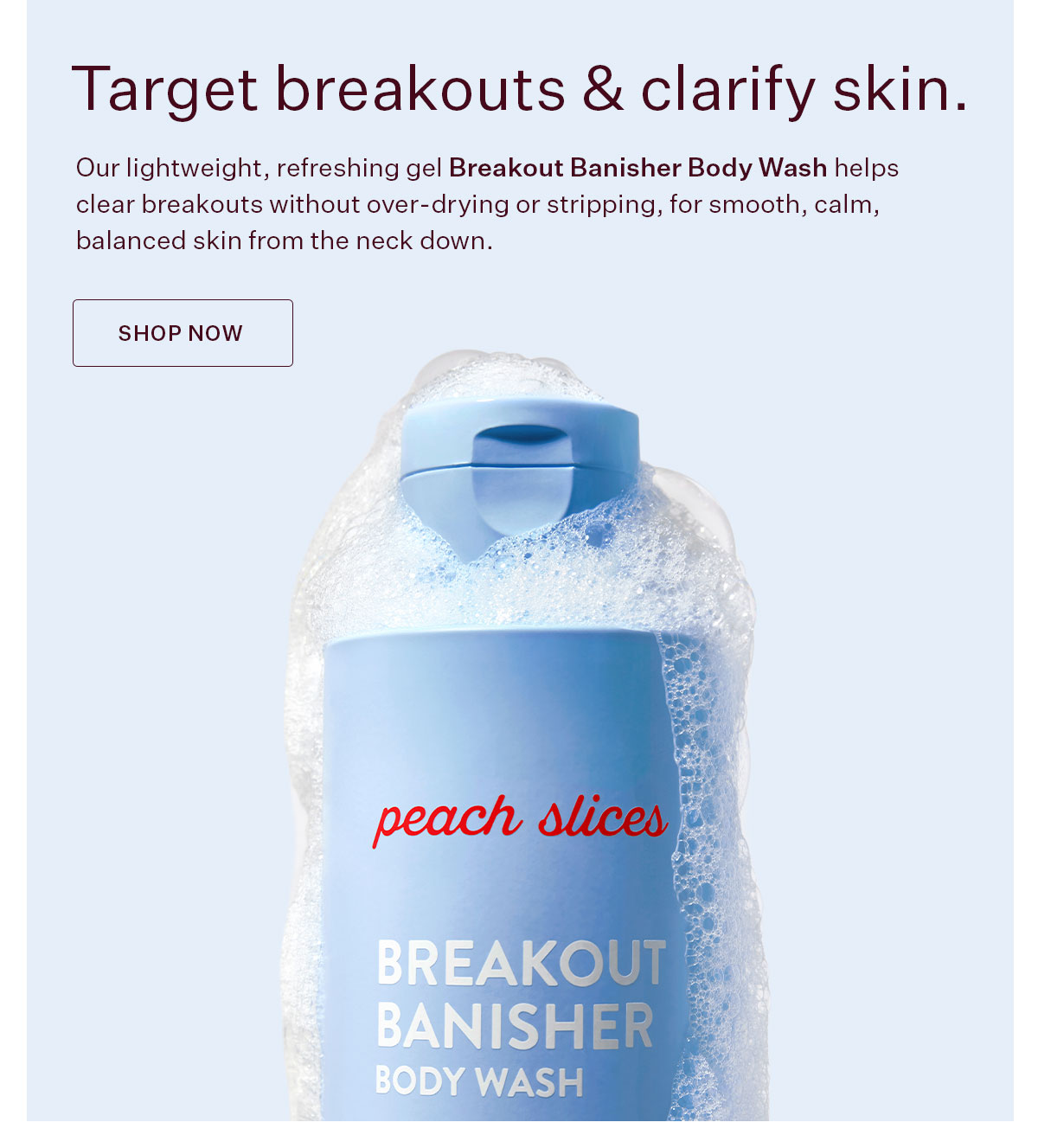 Breakout Banisher Body Wash