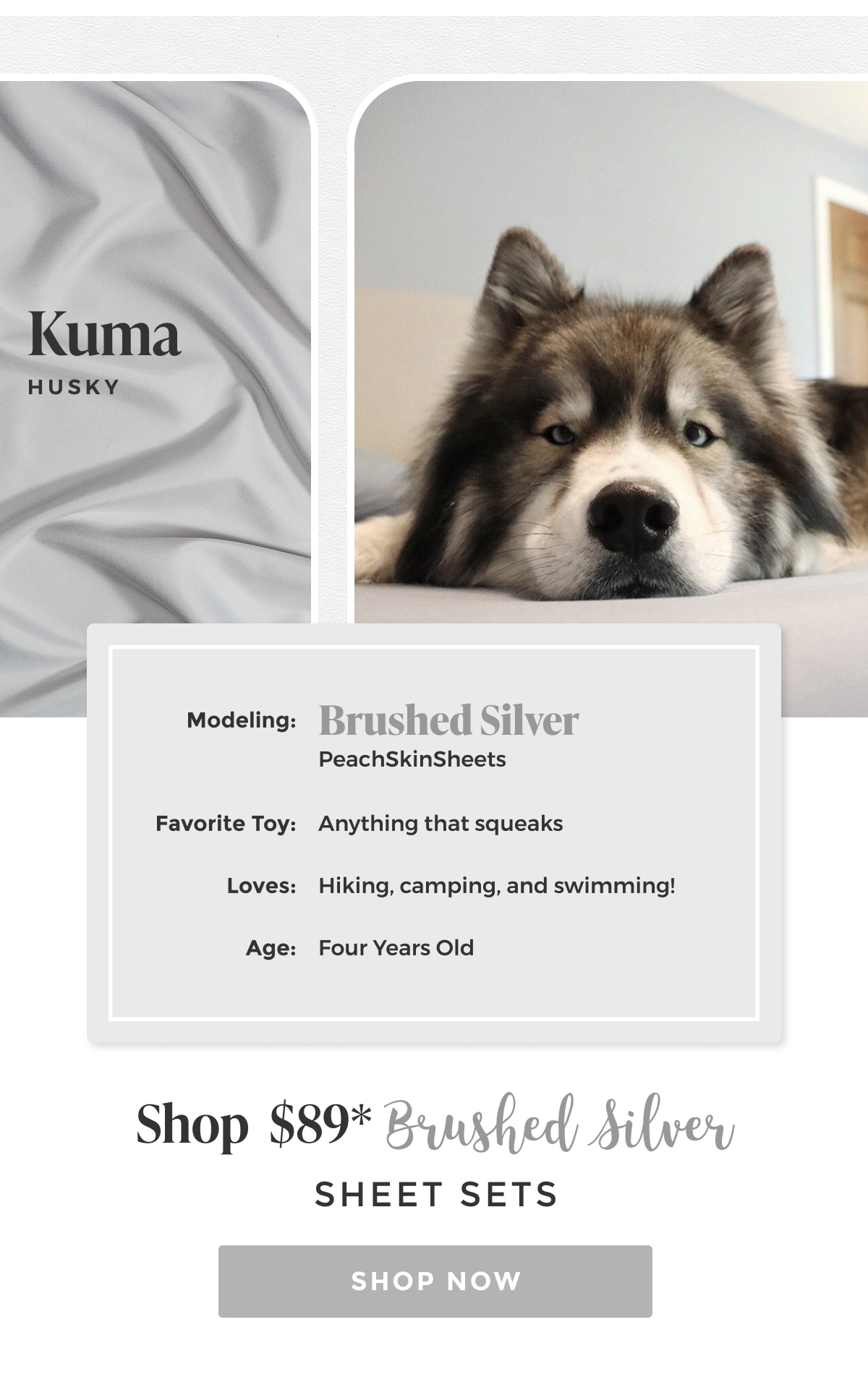 brushed-silver-sheet-set