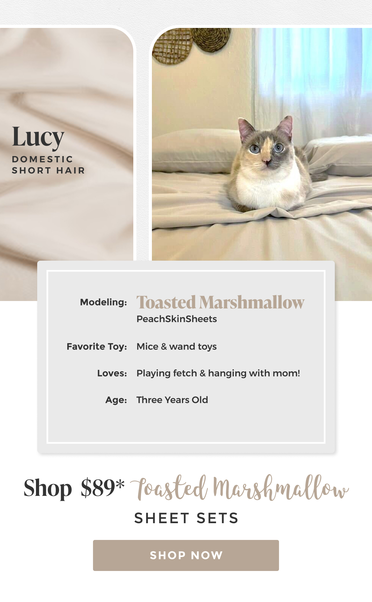 toasted-marshmallow-sheet-set