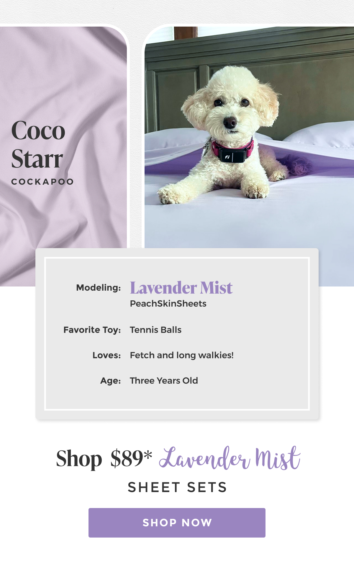 lavender-mist-sheet-set