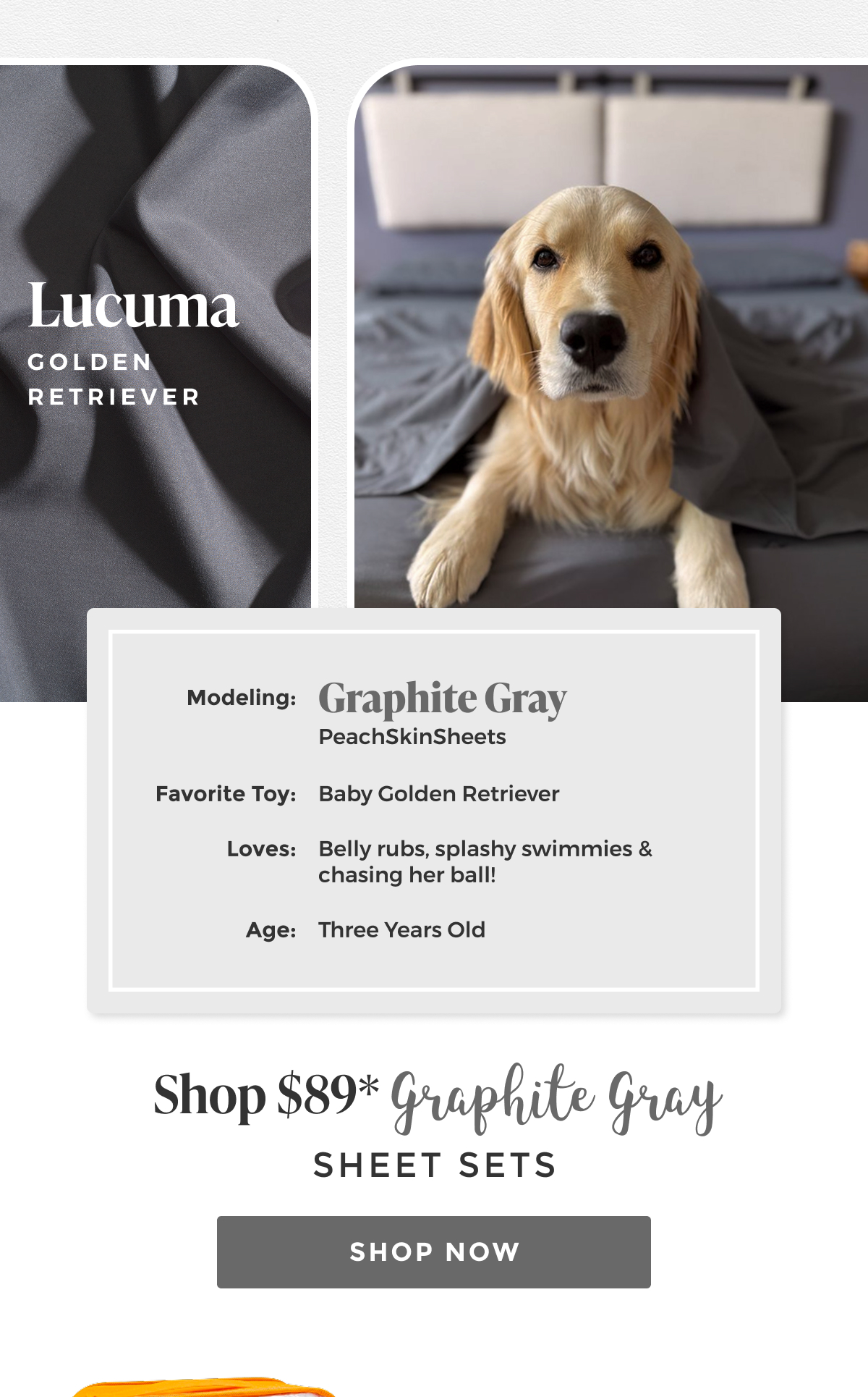 graphite-gray-sheet-set