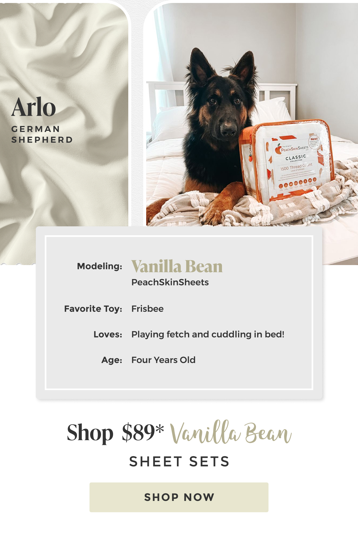 vanilla-bean-sheet-set