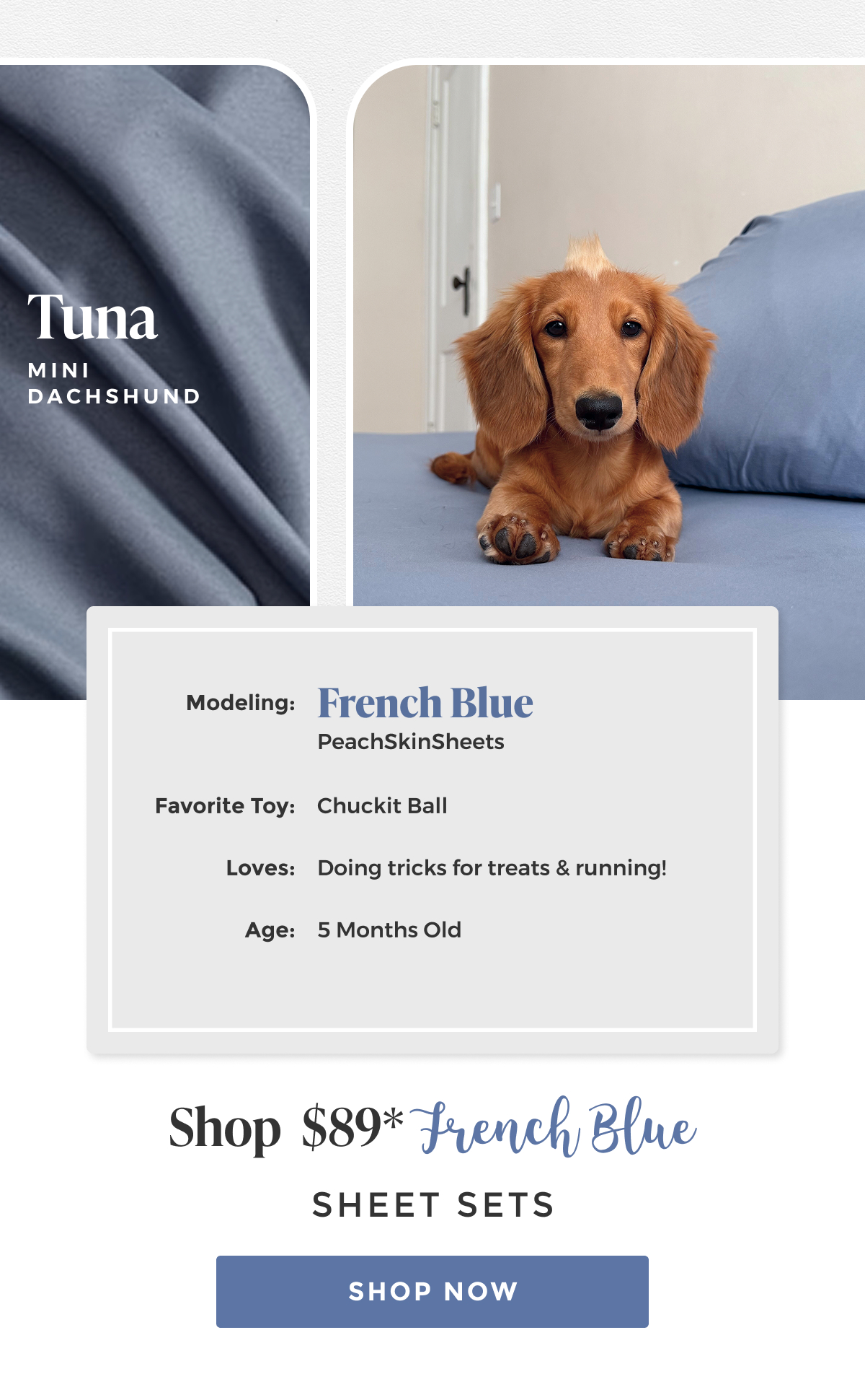 french-blue-sheet-set