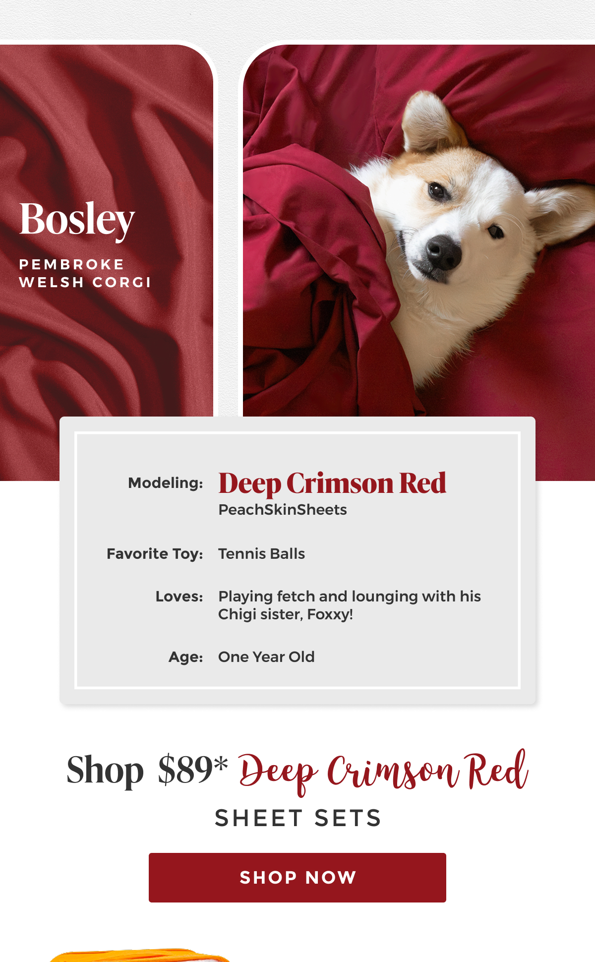 deep-crimson-red-sheet-set