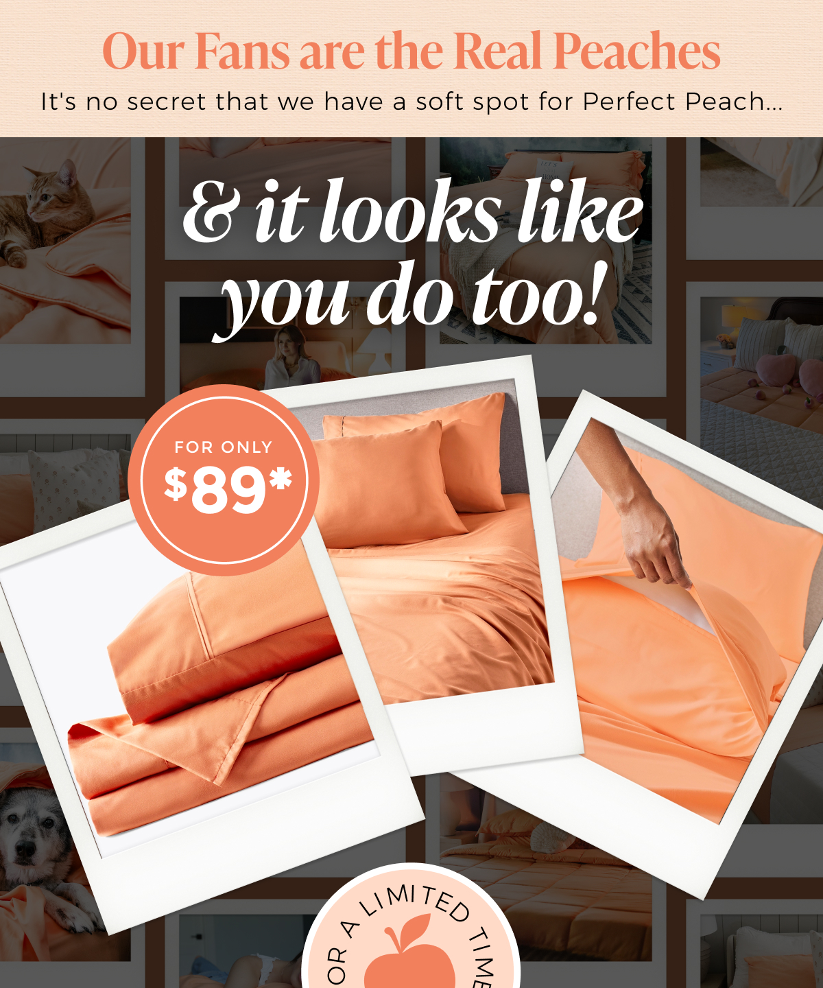 perfect-peach-sheet-set