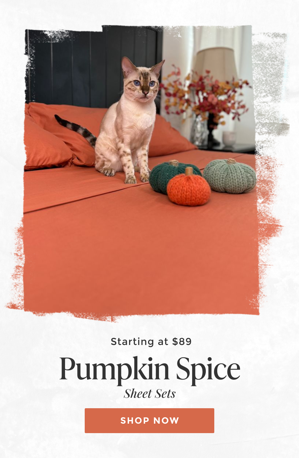 pumpkin-spice-sheet-set