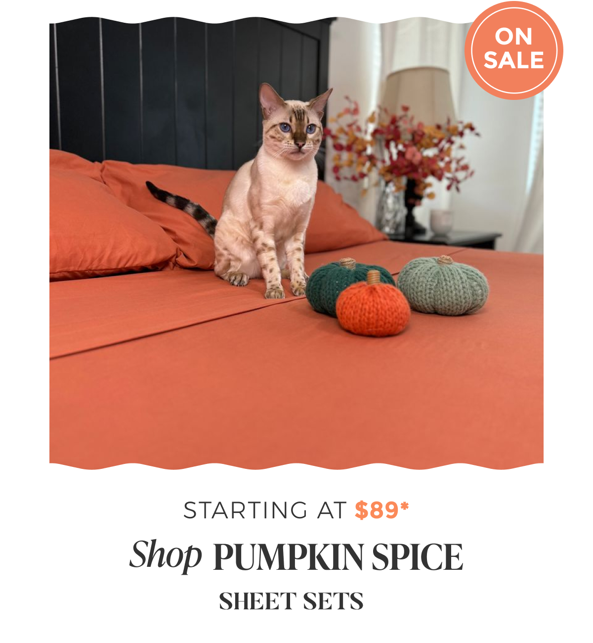 pumpkin-spice-sheet-set