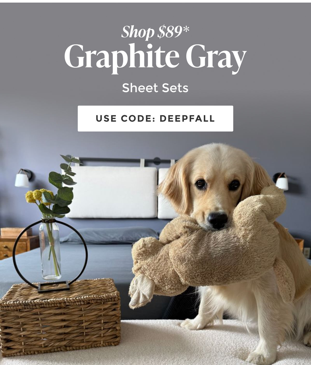 graphite-gray-sheet-set