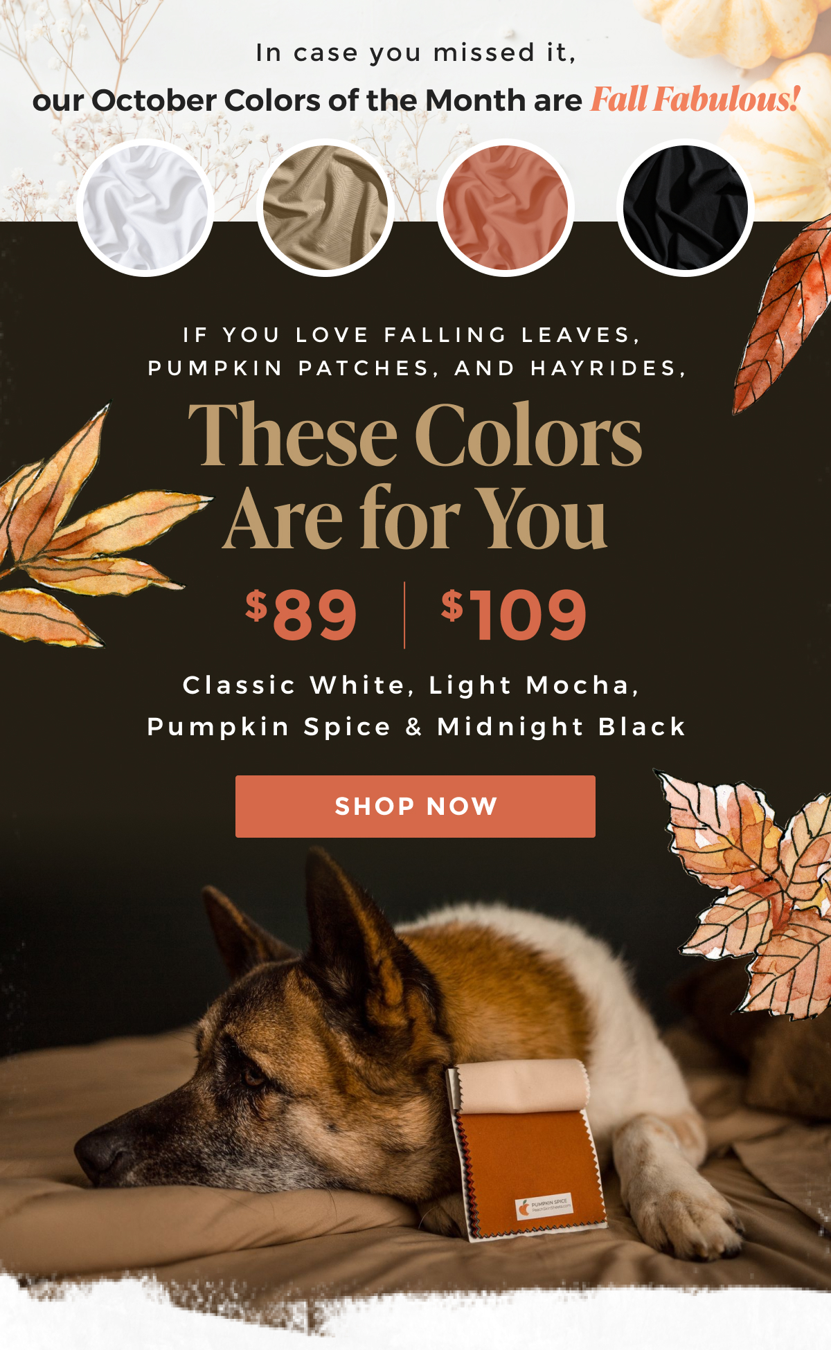 colors-of-the-month