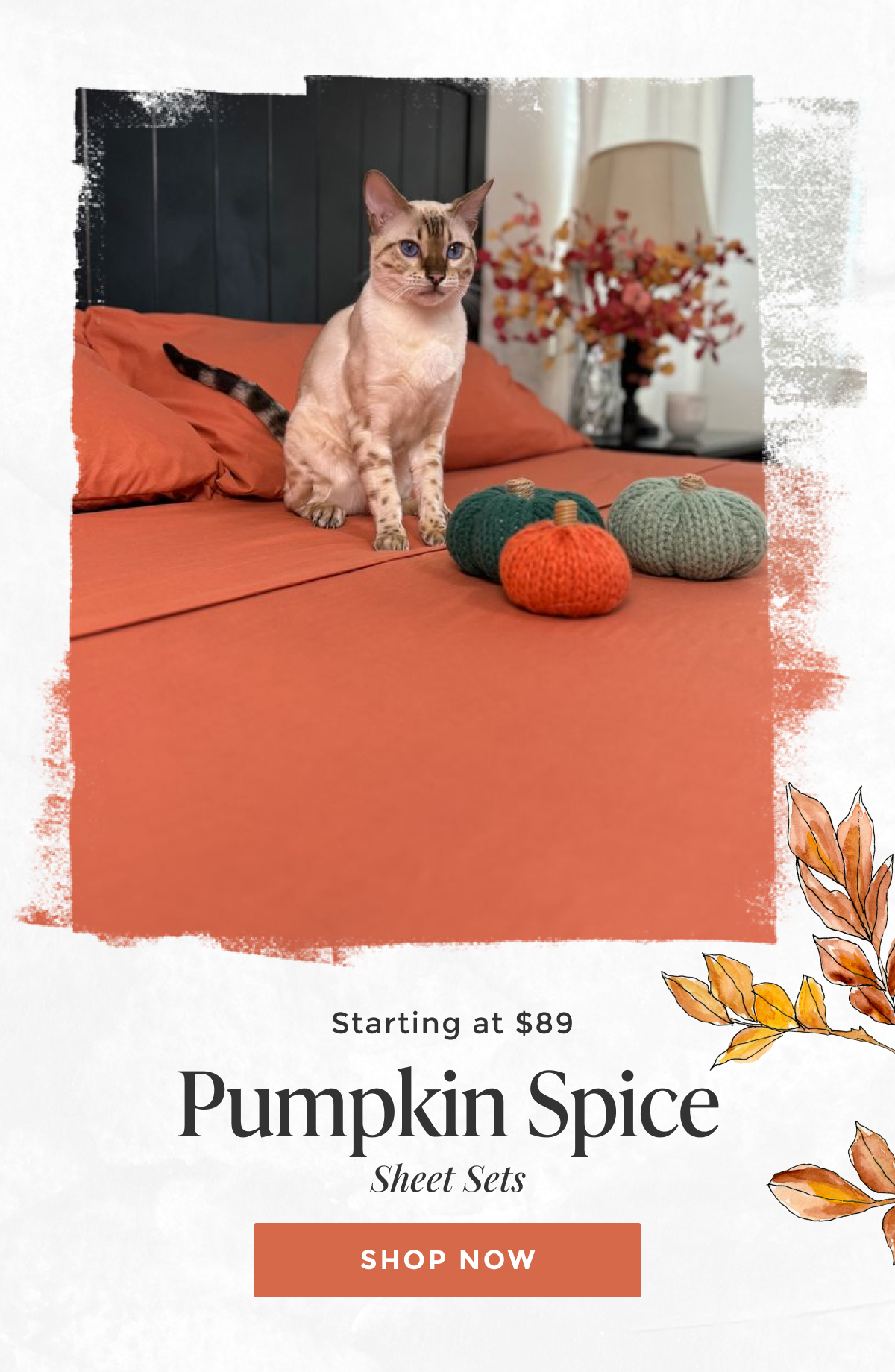 pumpkin-spice-sheet-set