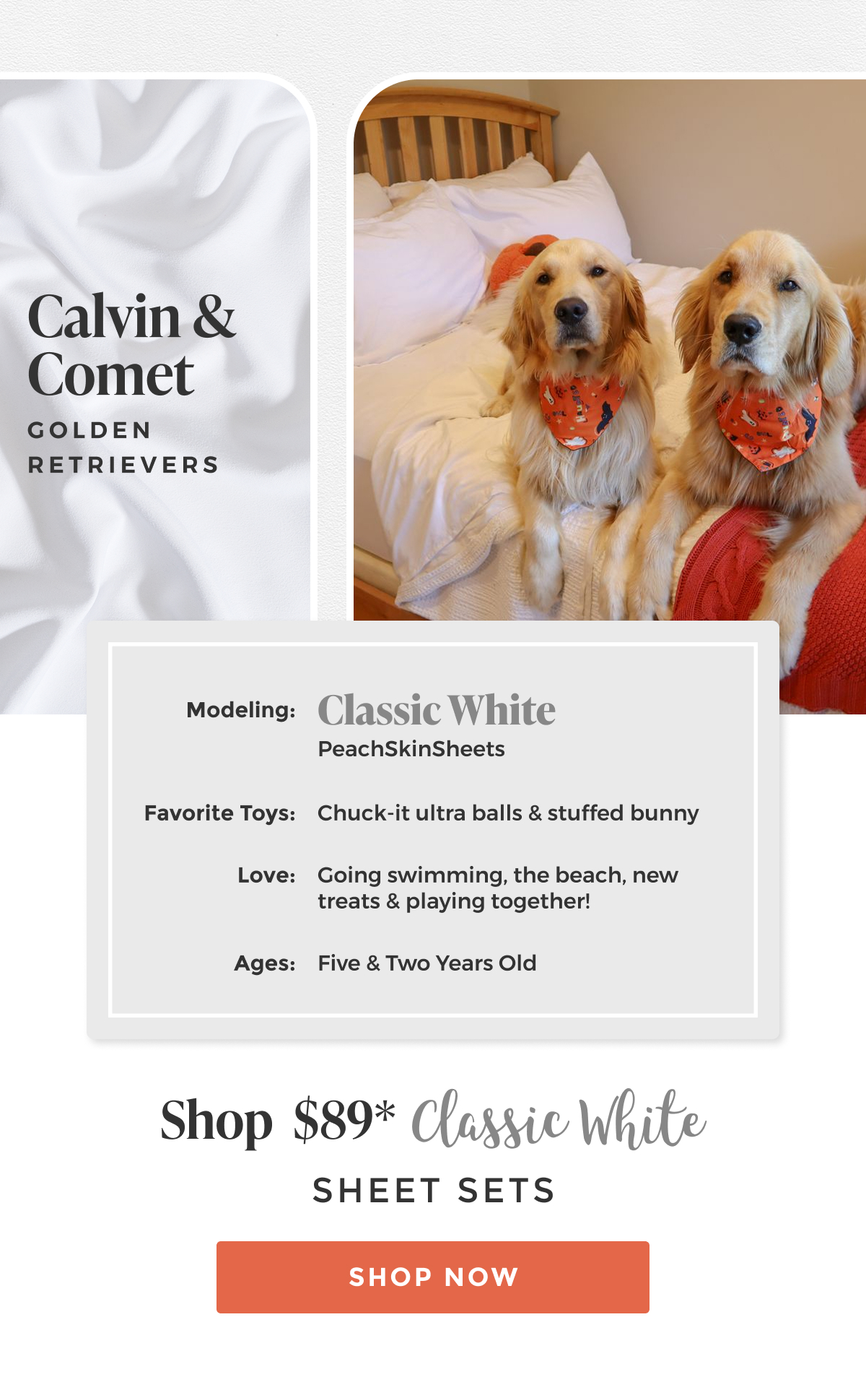 classic-white-sheet-set