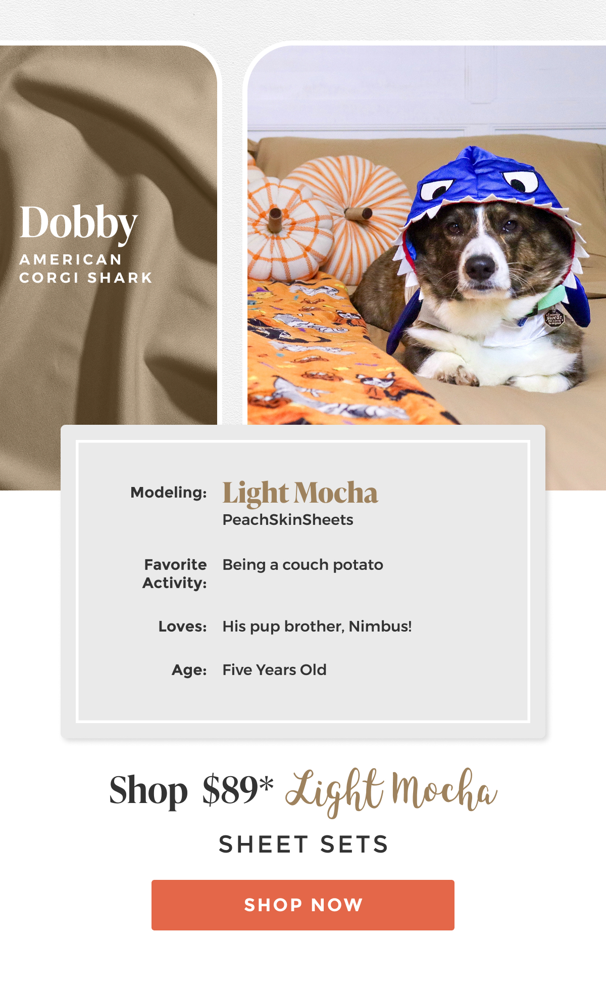 light-mocha-sheet-set