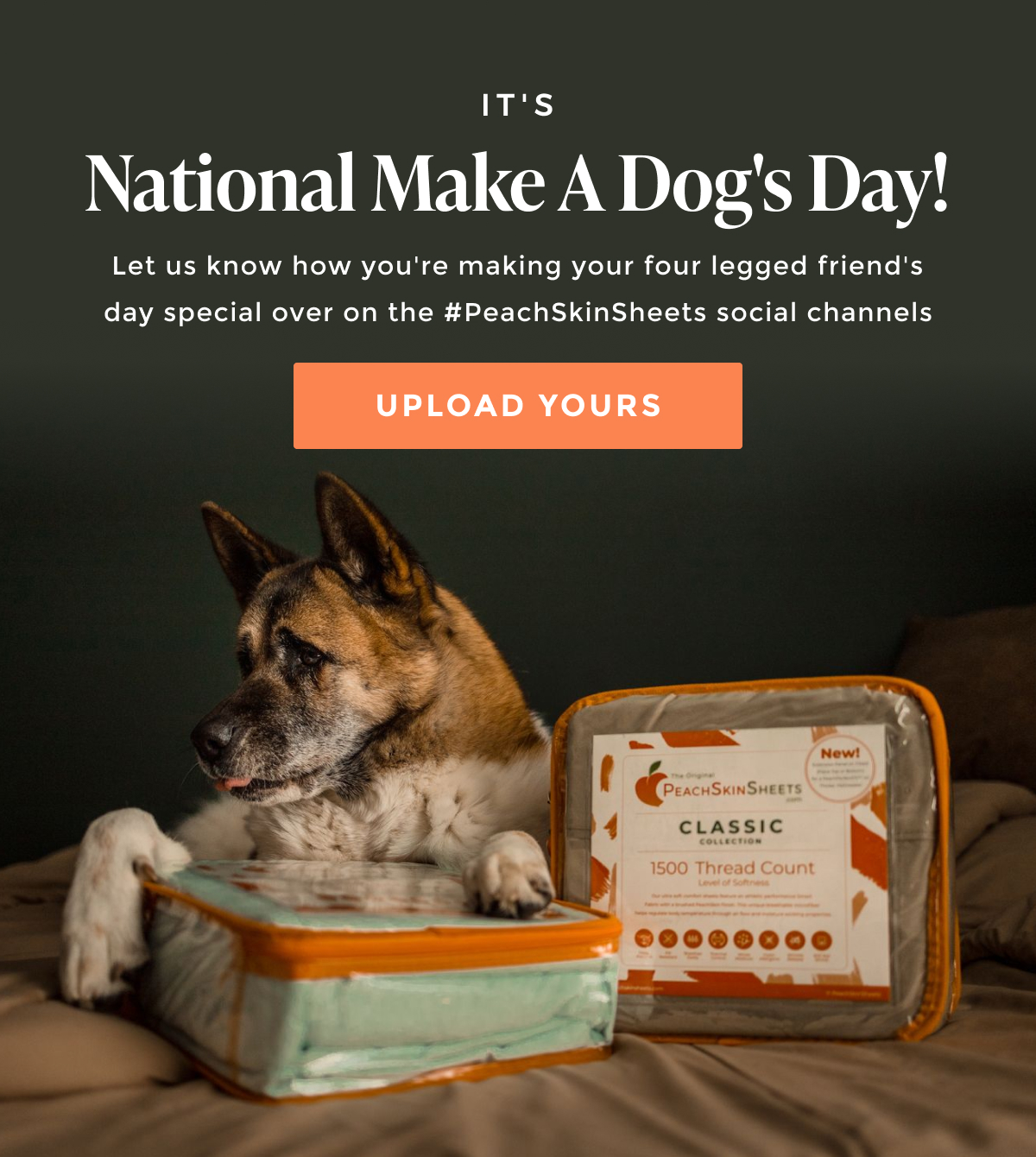 peachskinpets