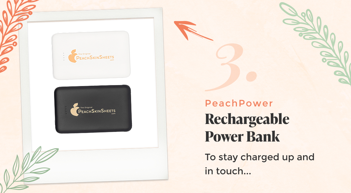 power-bank
