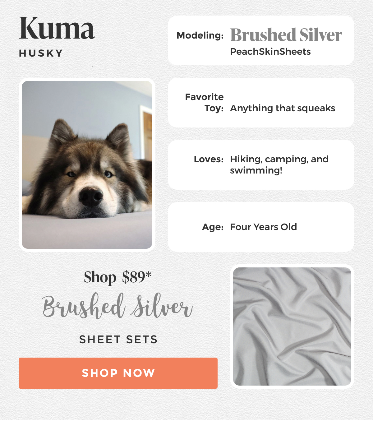 brushed-silver-sheet-set