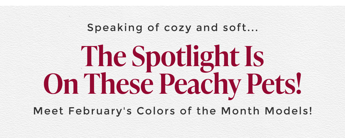 colors-of-the-month