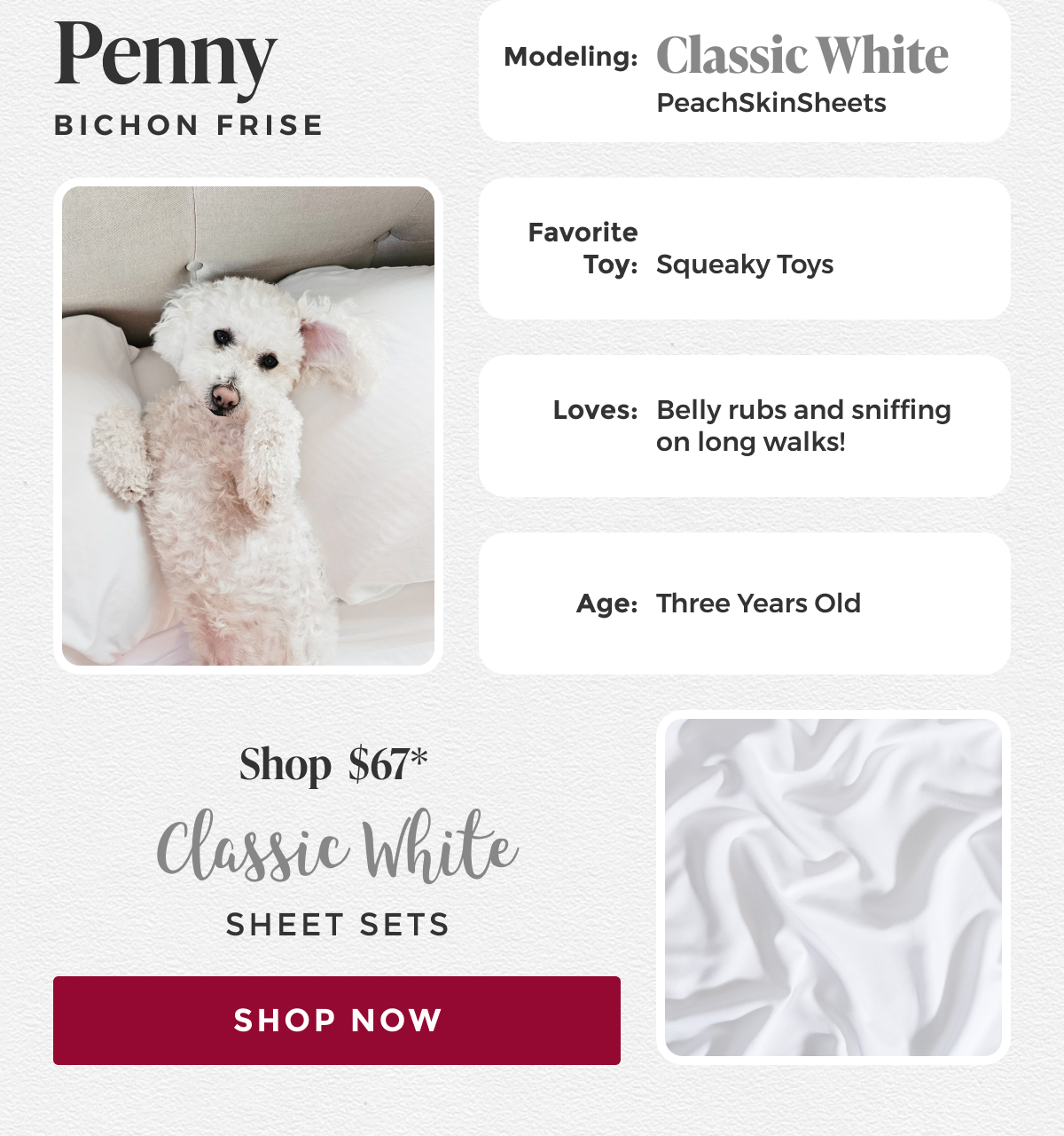 classic-white-sheet-set