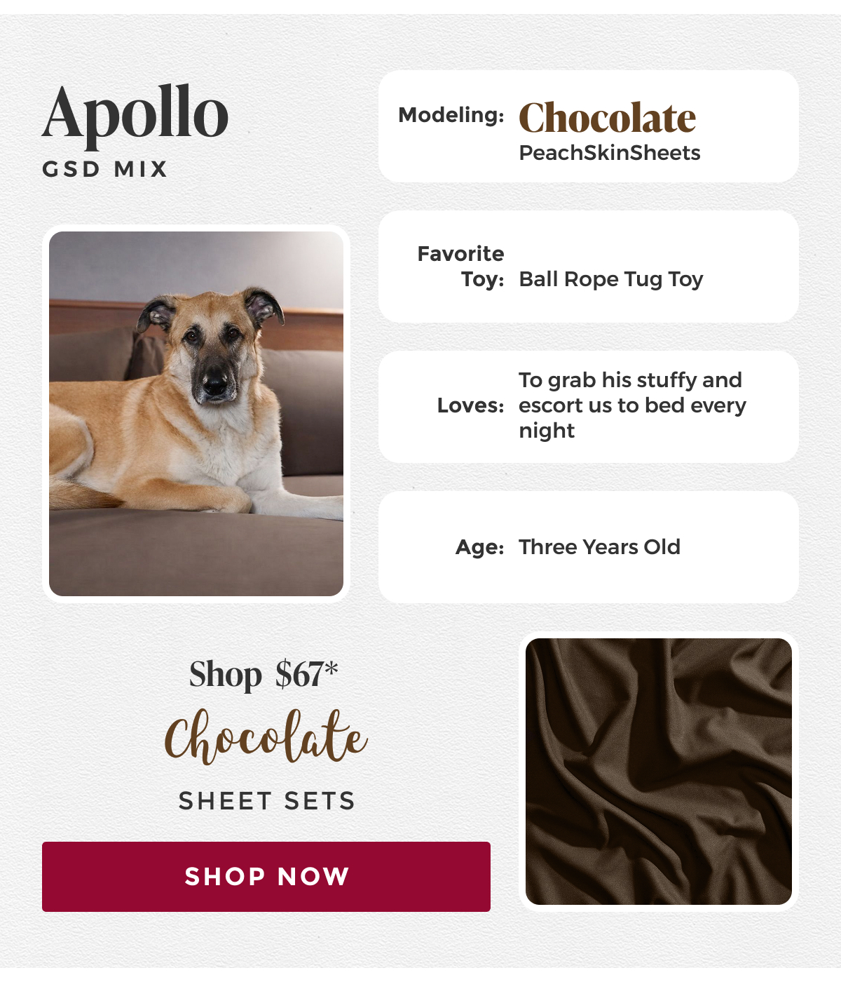 chocolate-sheet-set
