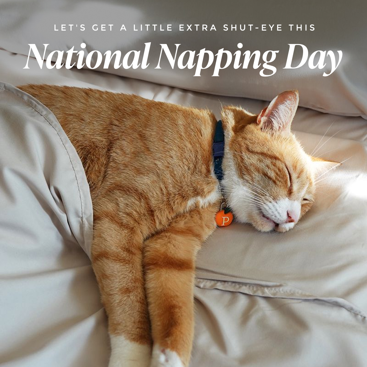 National Napping Day