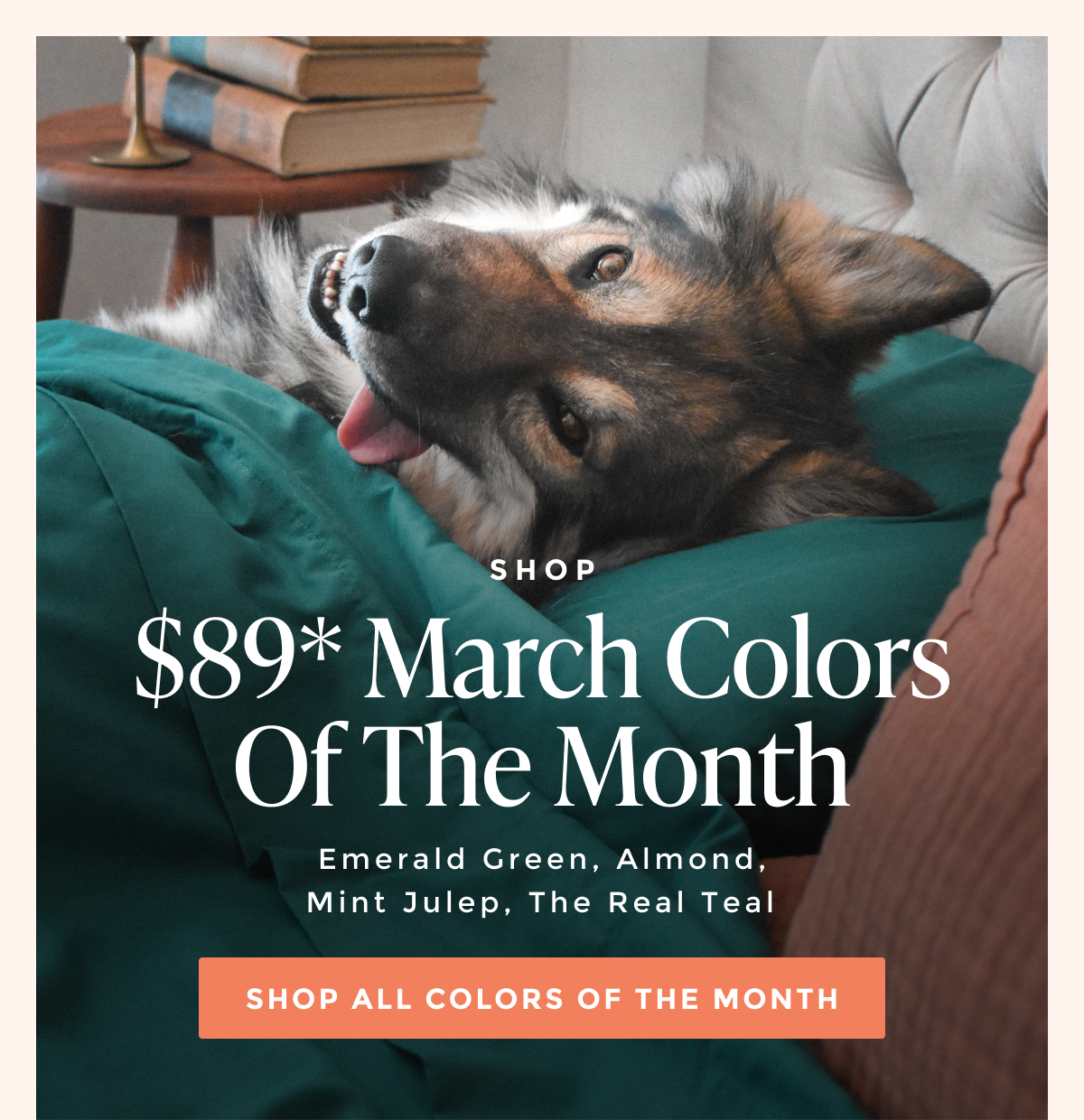 Shop all Colors of the Month