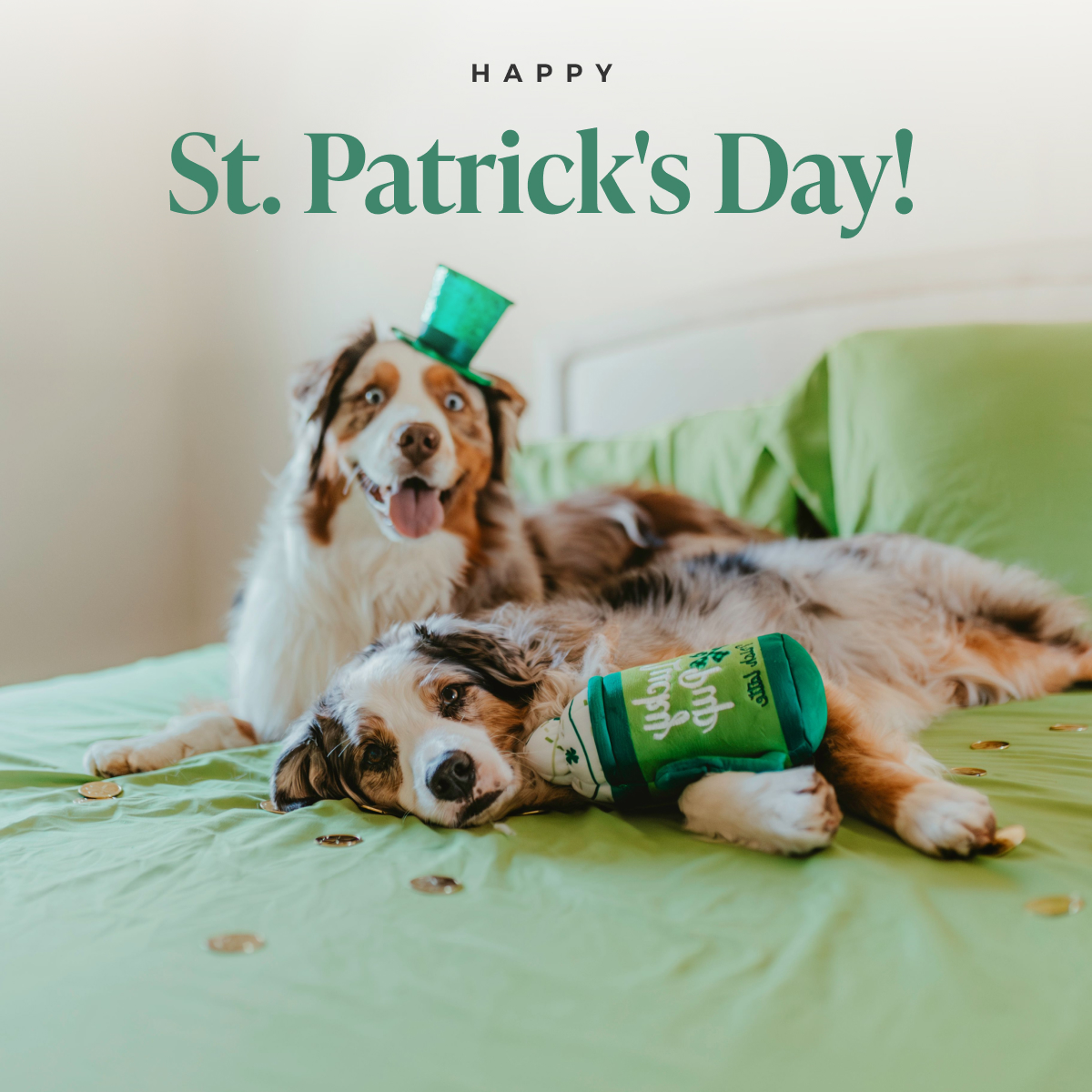 St. Patrick's Day!