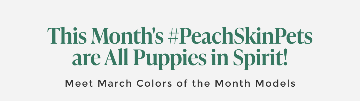 shop colors-of-the-month