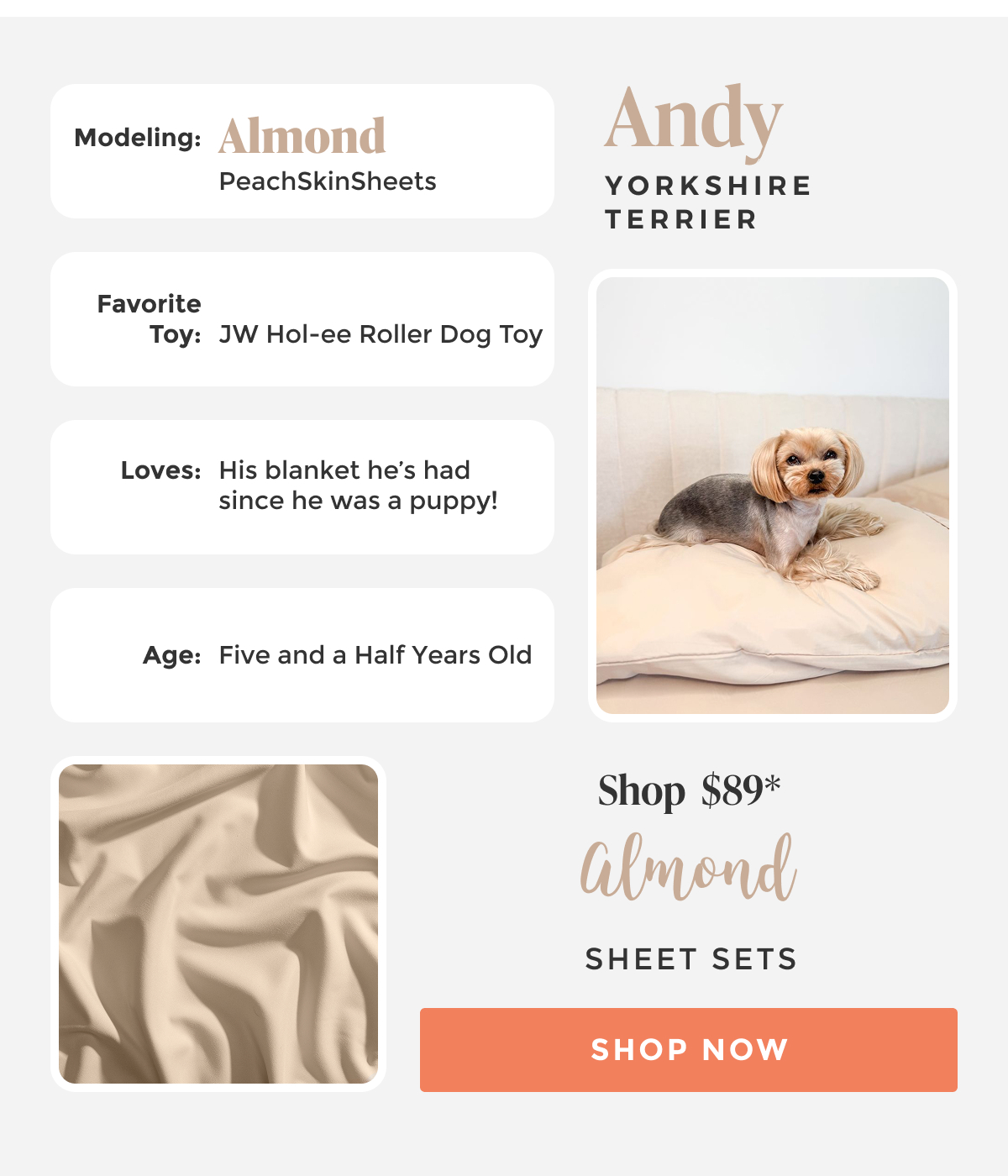 shop almond-ivory-sheet-set