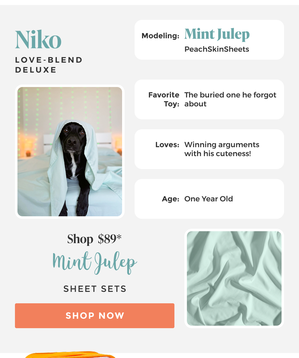 shop mint-julep-sheet-set